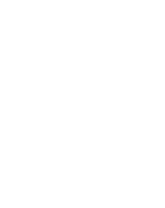 BJ_s_VINTAGE_logo