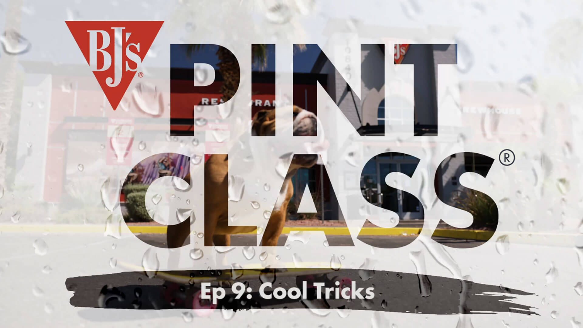 Ep 9 Cool Tricks